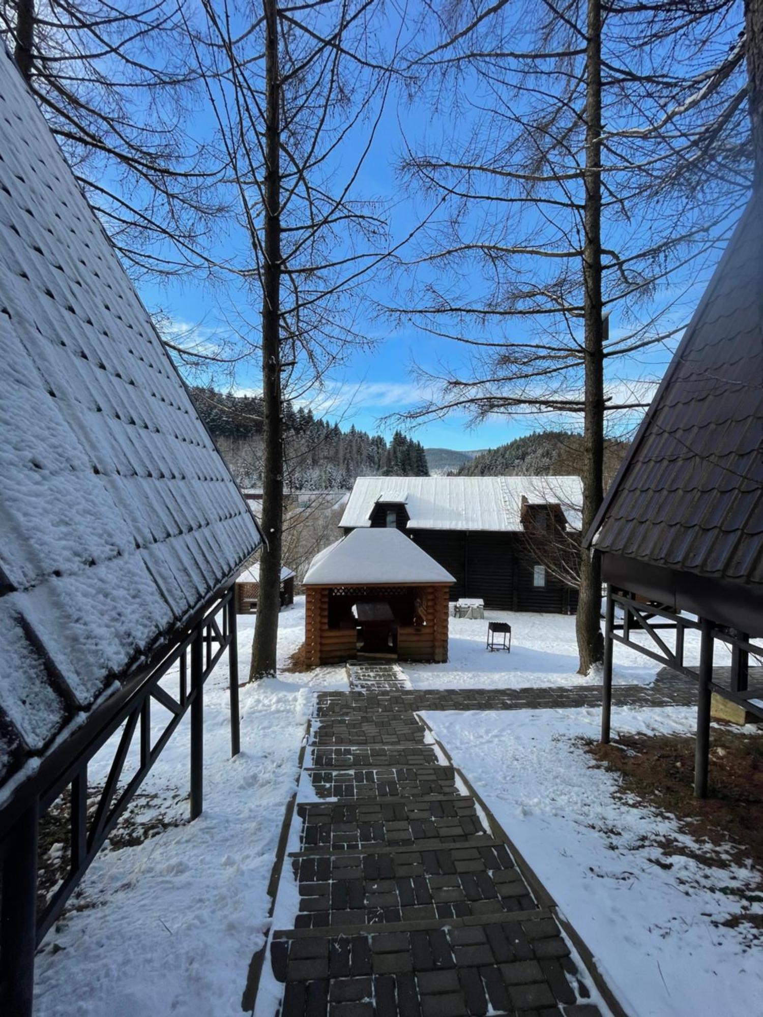 Karpatskyy Βίλα Rozluch Εξωτερικό φωτογραφία