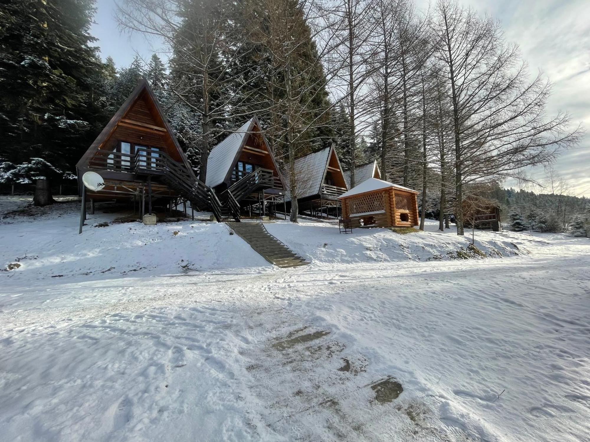 Karpatskyy Βίλα Rozluch Εξωτερικό φωτογραφία
